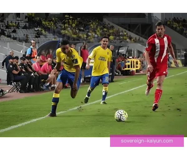 南美足球主场优势持续显现，各队在主场表现稳健