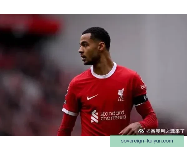 加克波在利物浦状态回暖，持续提升球队竞争力